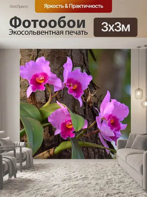 Фотообои Цветок