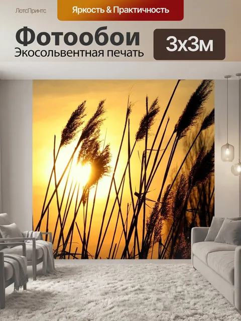 Фотообои Вечер