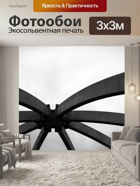 Фотообои Черно-белый