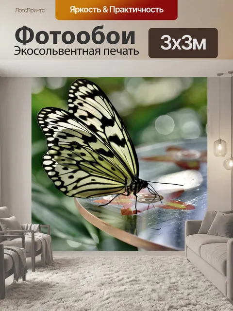 Фотообои Бабочка