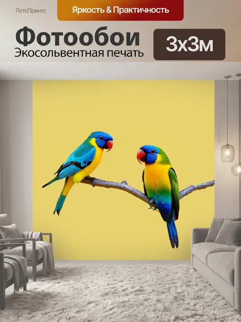 Фотообои животные в стиле минимализм с тропическими птицами, размещенными на однотонном фоне