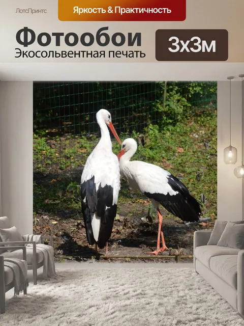 Фотообои Аист 3