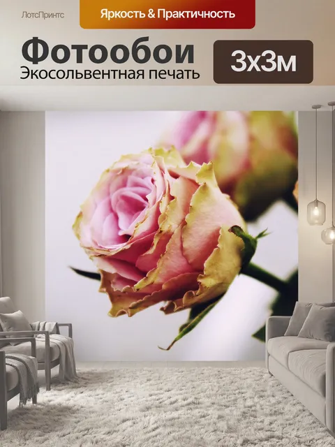 Фотообои Розы