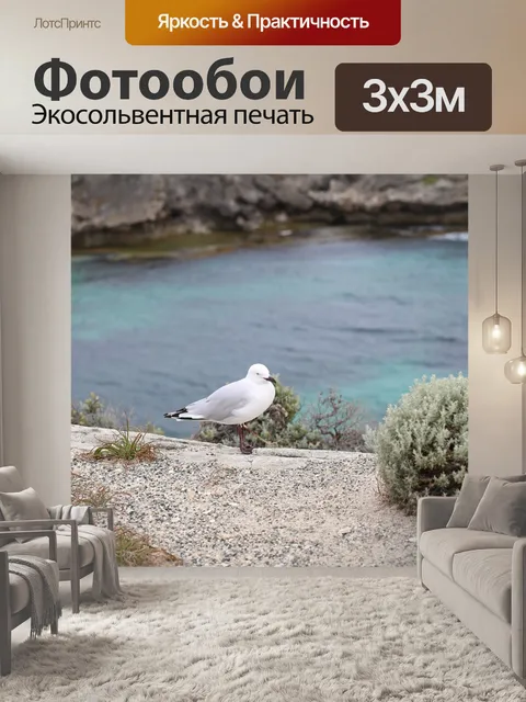 Фотообои Птица