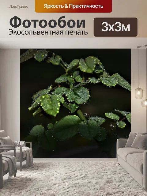 Фотообои Листья розы