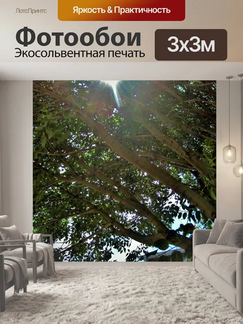 Фотообои Яркое солнце через дерево