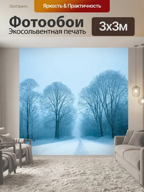 Фотообои туман в стиле аналитический рисунок, зимний пейзаж с деревьями, покрытыми инеем и туманом, холодные цвета