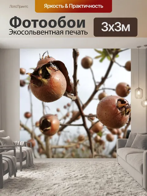 Фотообои Фрукты