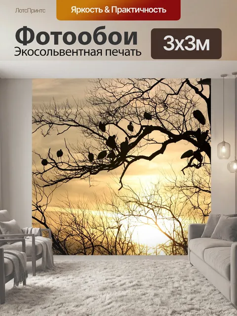 Фотообои Силуэт