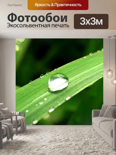 Фотообои Капля воды на листе