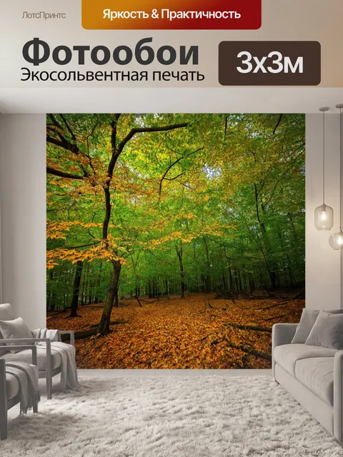 Фотообои лес с полными луками, покрытыми листьями