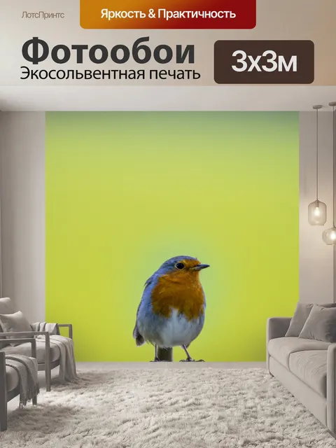 Фотообои Робин Эритакус рубекула