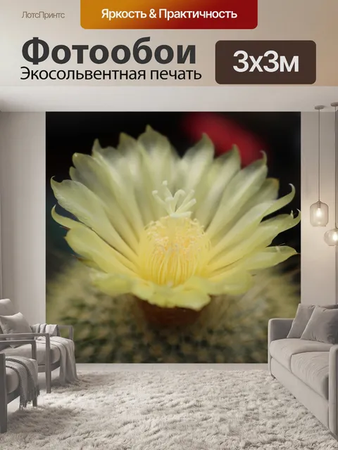 Фотообои Flower