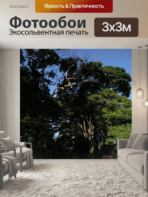 Фотообои Природа