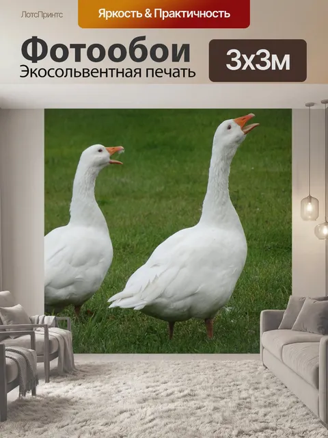 Фотообои Гуси