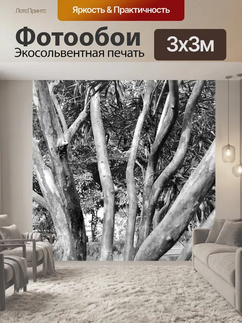 Фотообои Дерево
