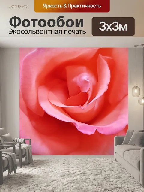 Фотообои Роза