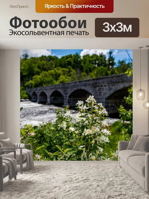 Фотообои Мост