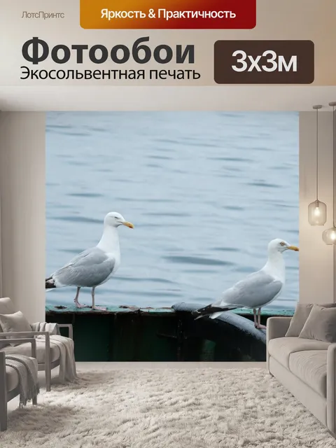 Фотообои Пара чаек