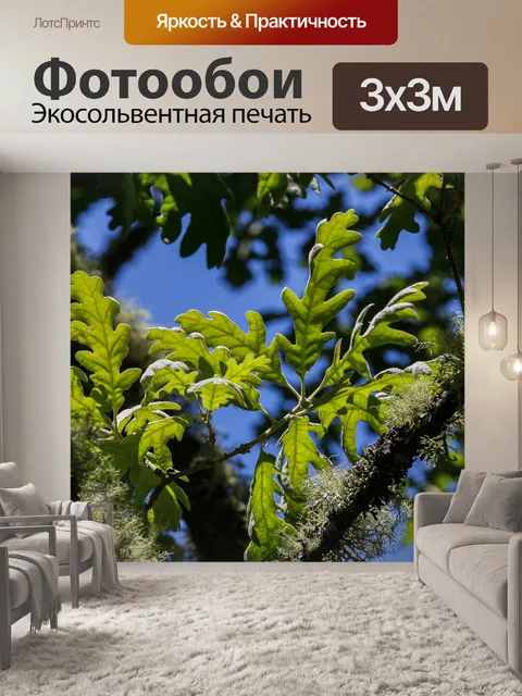 Фотообои Природа