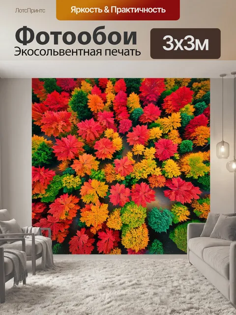 Фотообои сентябрьский лес, покрытый ковром из ярких красновато-коричневых листьев, снятый в технике дронов с высоты