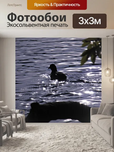 Фотообои Птица