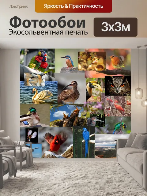 Фотообои Птица