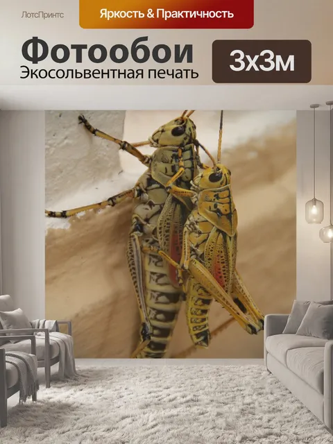 Фотообои Животные