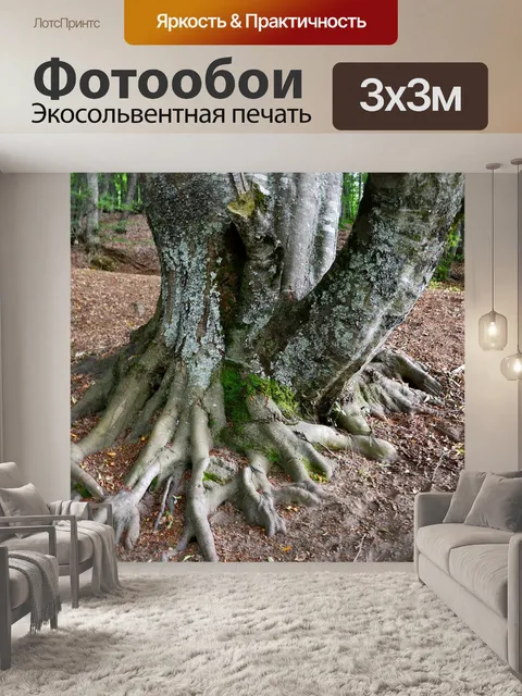 Фотообои Лес