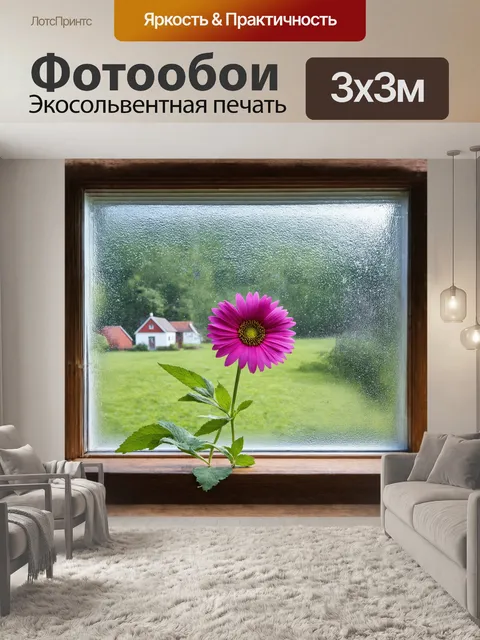 Фотообои цветок на окне старины, его яркие лепестки словно искры на фоне потускавшегося стекла