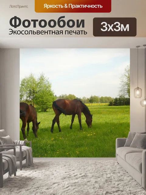 Фотообои Лошади