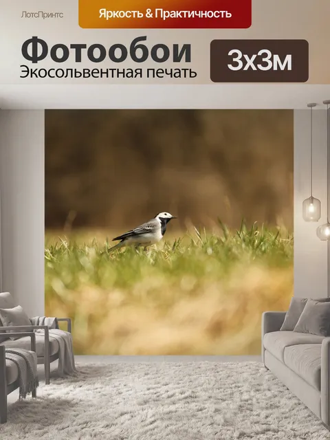 Фотообои Воробей