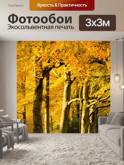 Фотообои Осенние деревья