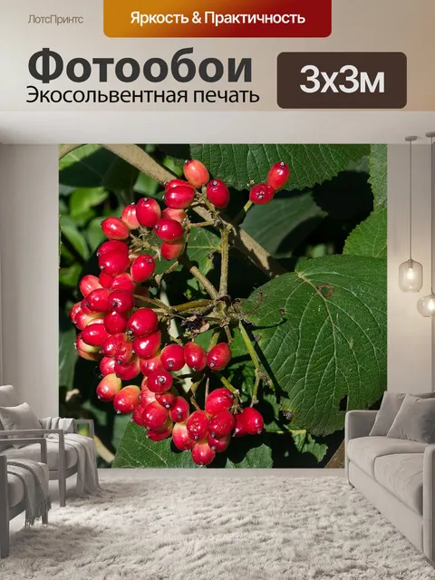 Фотообои Ягода