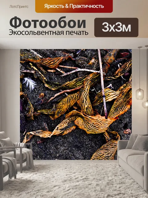 Фотообои Листья водорослей