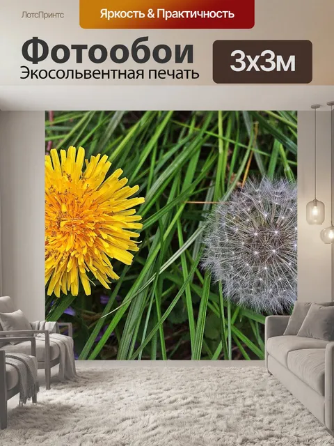 Фотообои Одуванчики