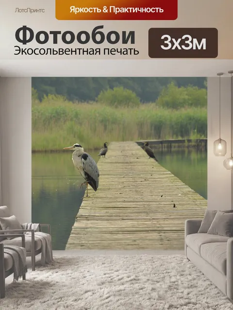 Фотообои Птица