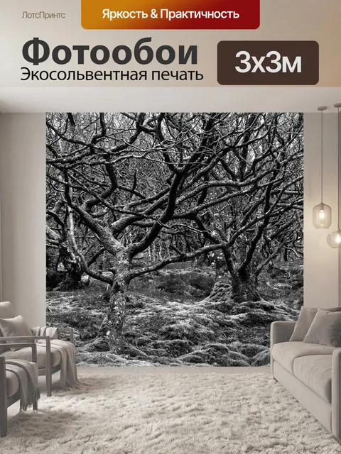 Фотообои Деревья