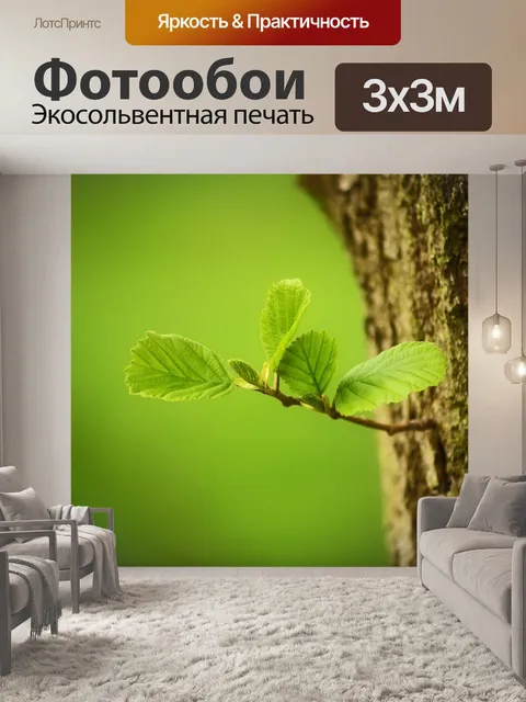 Фотообои Деревья