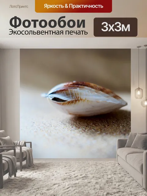 Фотообои Оболочка
