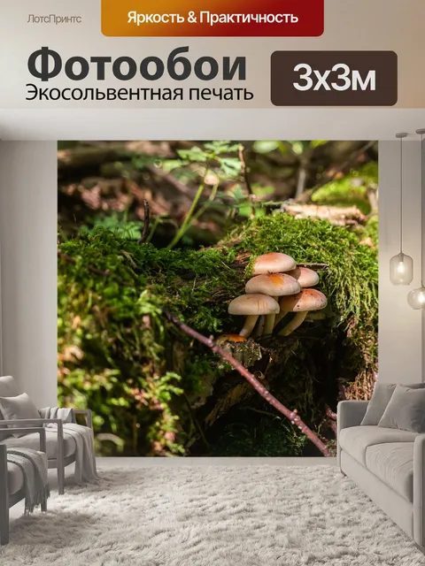 Фотообои Лес
