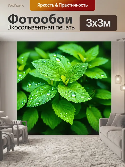 Фотообои мятный цвет, утренние капли на мятных листьях, стеклянные капли, утренняя свежесть, природа пробуждается к…