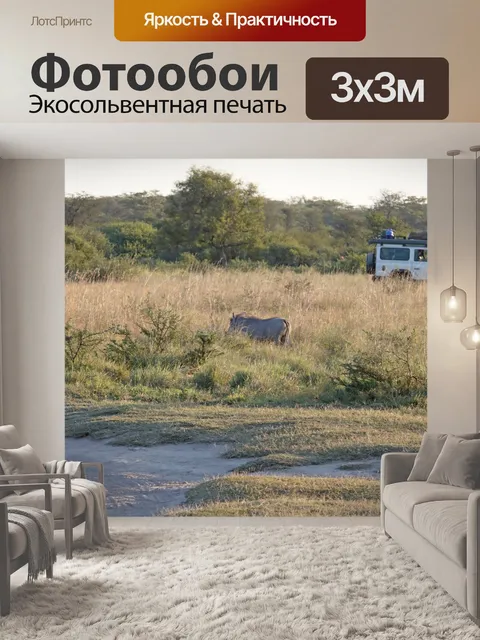 Фотообои бородавочник в вечернем солнце