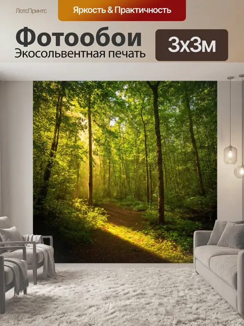 Фотообои лес в стиле минимализм, солнечный свет пробивается через листву, создает яркие пятна на земле