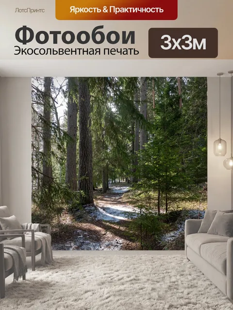 Фотообои Лес