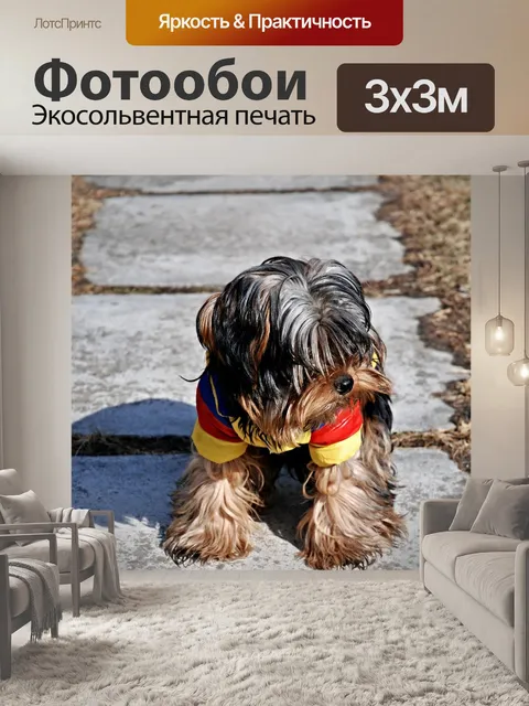 Фотообои Собака