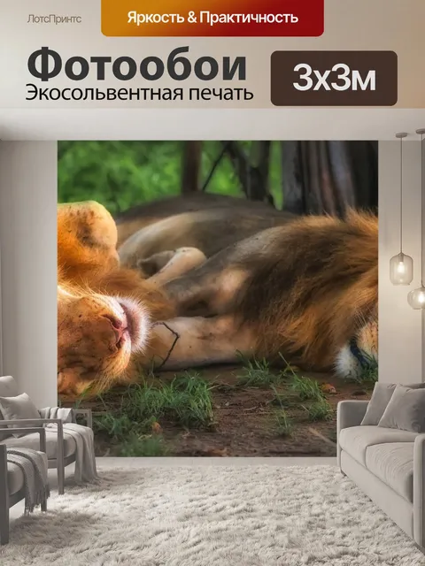 Фотообои Львы