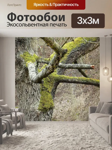 Фотообои Дерево