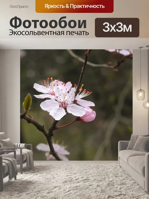 Фотообои Розовые цветы