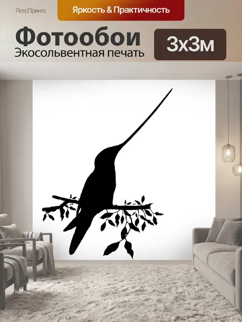 Фотообои Птица Силуэт Колибри